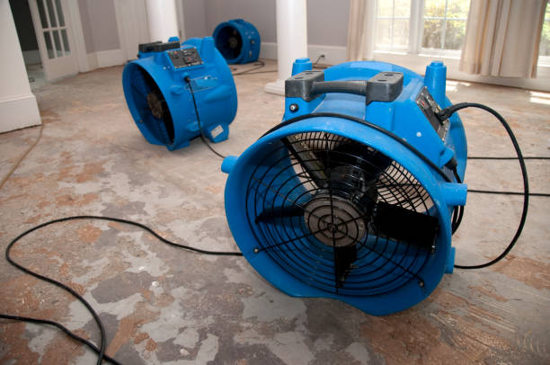 Best Residential Water Damage Restoration in Moroni, UT