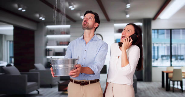 Best Ceiling and Wall Water Damage Repair in Moroni, UT